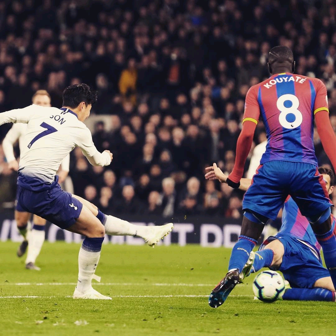 强的适应能 强的适应能